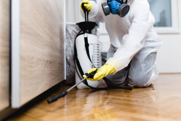 Best Wildlife Control Services  in Hillcrest Heights, MD