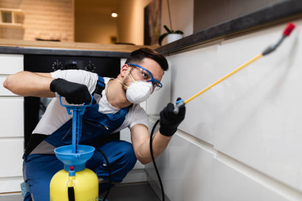 Best Emergency Pest Control  in Hillcrest Heights, MD
