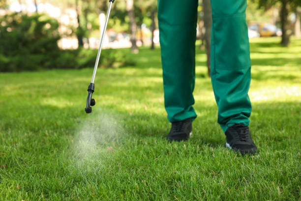 Best Wasp Removal Services  in Hillcrest Heights, MD