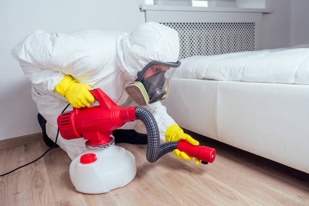 Best Affordable Pest Control Services  in Hillcrest Heights, MD