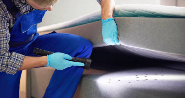 Best Best Pest Control Companies  in Hillcrest Heights, MD