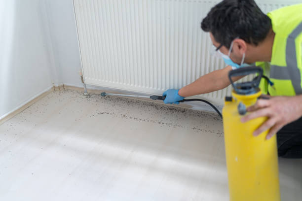 Professional Pest Control in Hillcrest Heights, MD