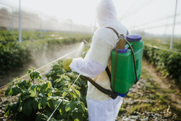 Best Cockroach Control Services  in Hillcrest Heights, MD